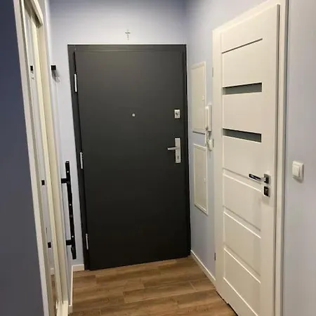 Apartament Goplana 公寓 *