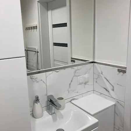 公寓 Apartament Goplana 波兹南